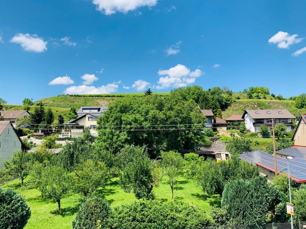 Ferienwohnung Liesel - Kuche, Bad, Wlan, 3 Schlafzimmer, Parkplatz Malterdingen Buitenkant foto